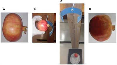 Vis-NIR and SWIR hyperspectral imaging method to detect bruises in pomegranate fruit